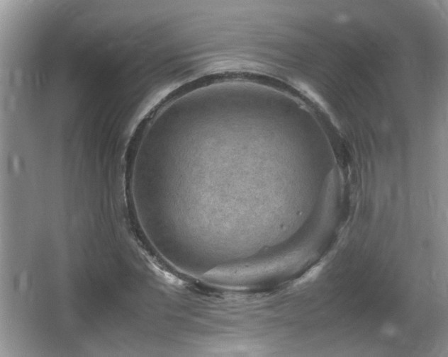 X0000065980877200603031152