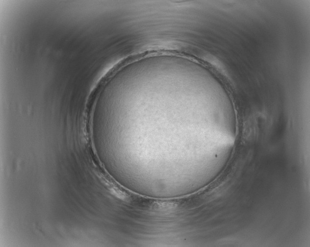 X0000065980878200603031152