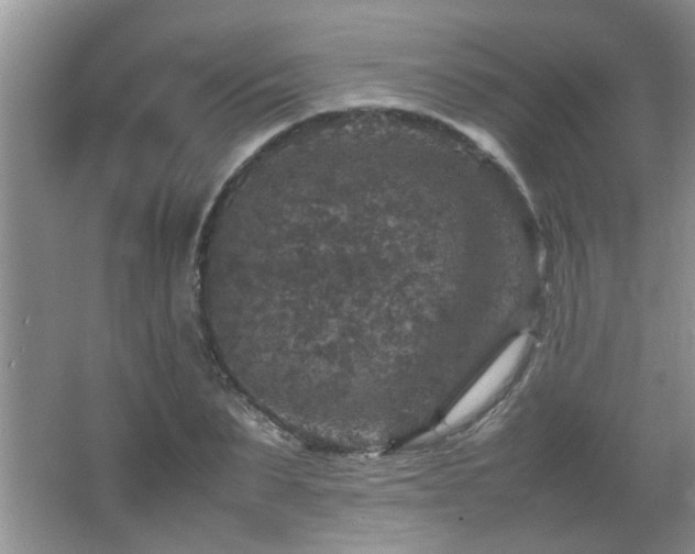 X0000065980879200603031152