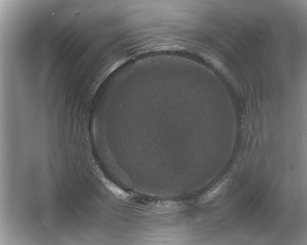 X0000065980881200603031152