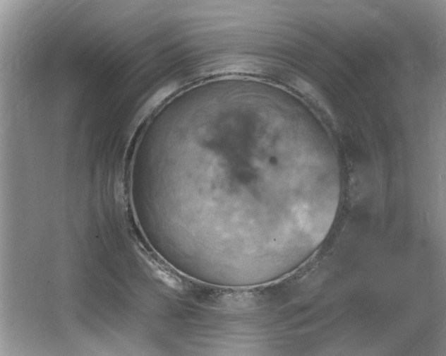 X0000065980882200603031152