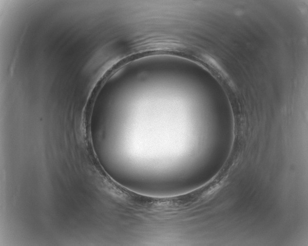 X0000065980883200603031152