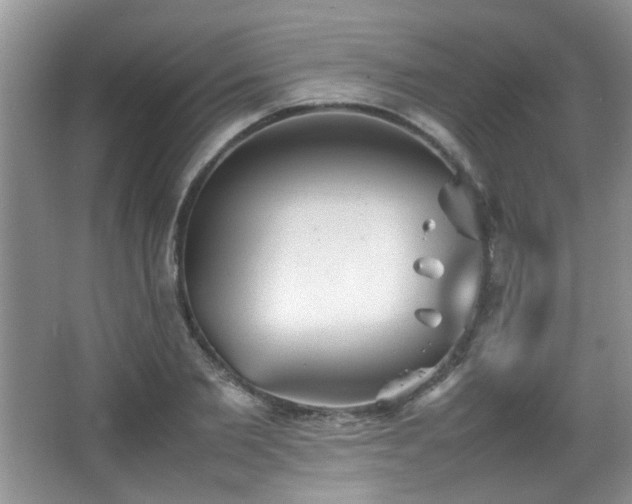 X0000065980885200603031152