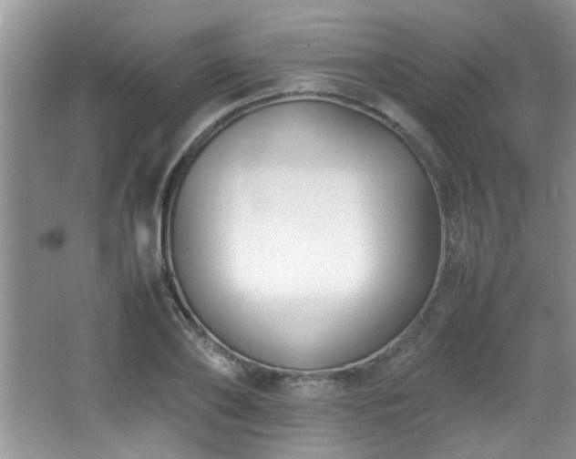 X0000065980886200603031152