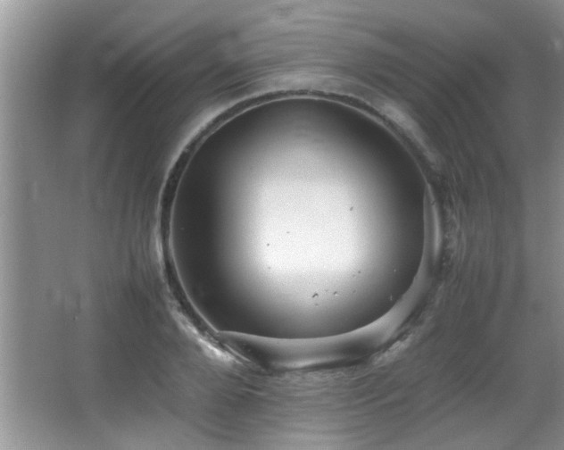 X0000065980888200603031152