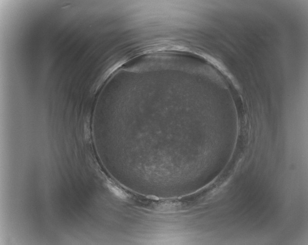 X0000065980889200603031152