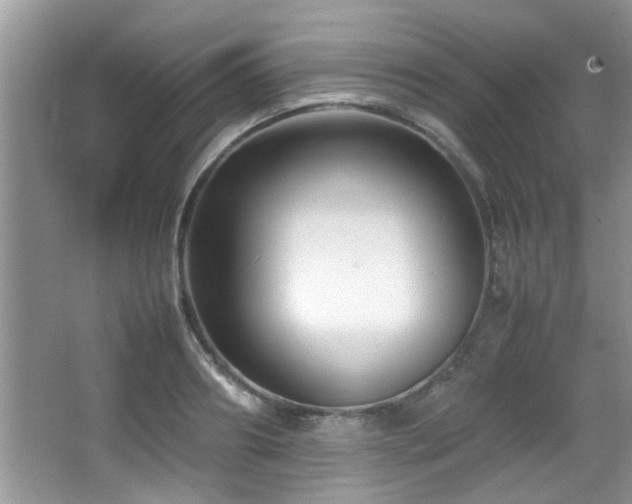 X0000065980890200603031152