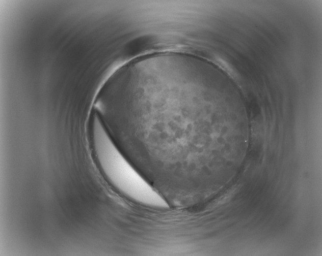 X0000065980891200603031152