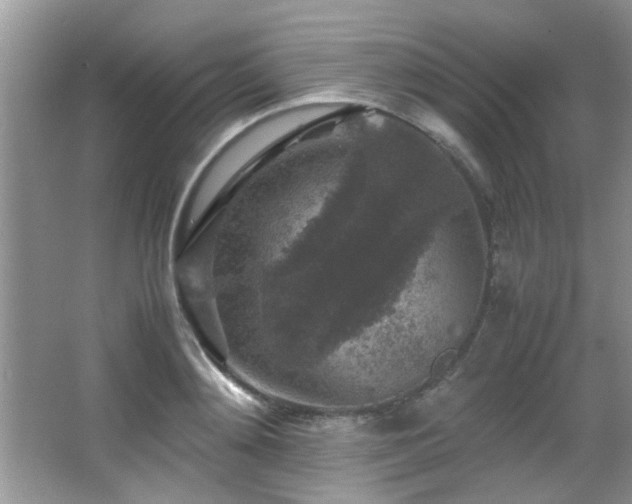 X0000065980892200603031152