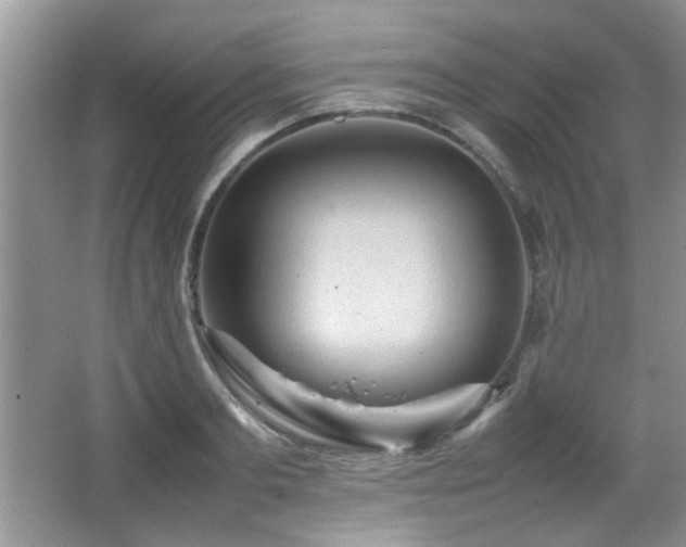 X0000065980893200603031152