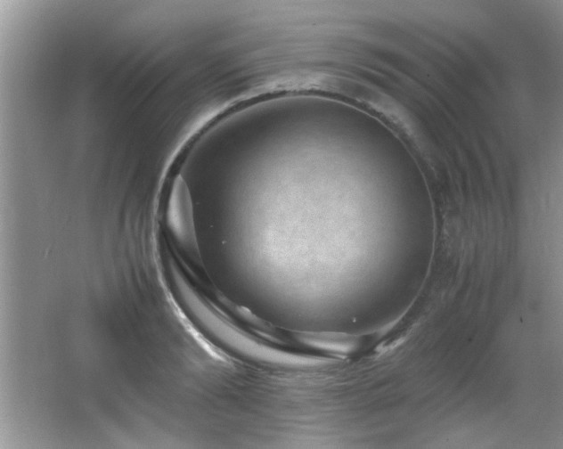 X0000065980894200603031151