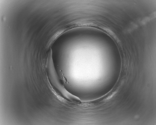 X0000065980897200603031151