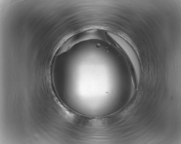 X0000065980898200603031151