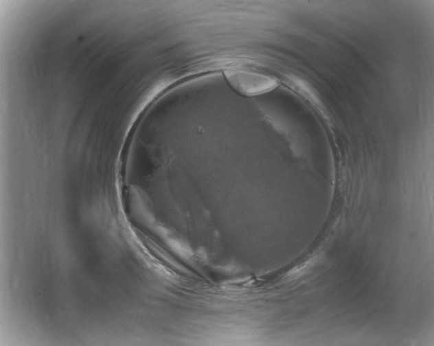 X0000065980899200603031151