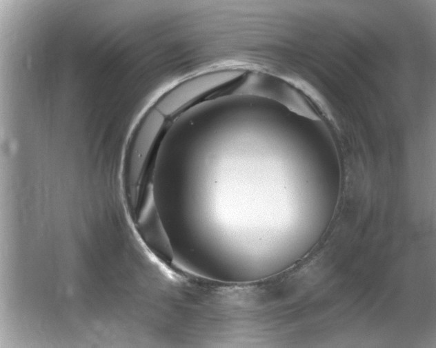 X0000065980902200603031151