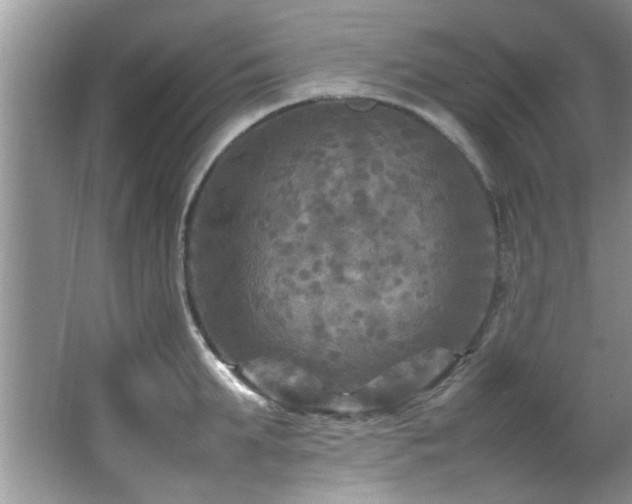 X0000065980903200603031151