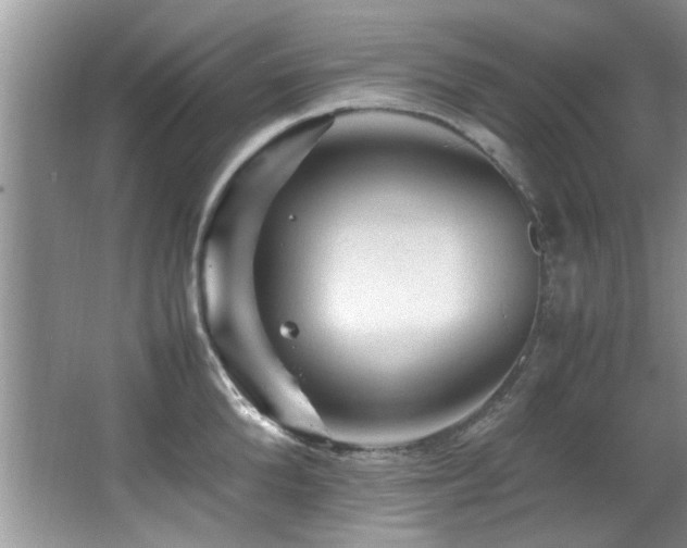 X0000065980904200603031151