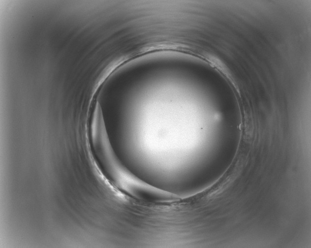 X0000065980906200603031151