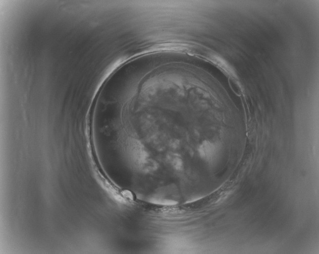 X0000065980907200603031151