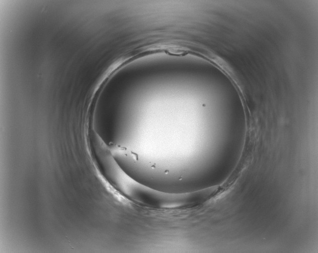 X0000065980909200603031151