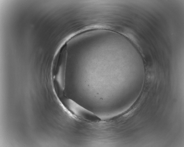 X0000065980910200603031151