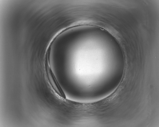 X0000065980912200603031151