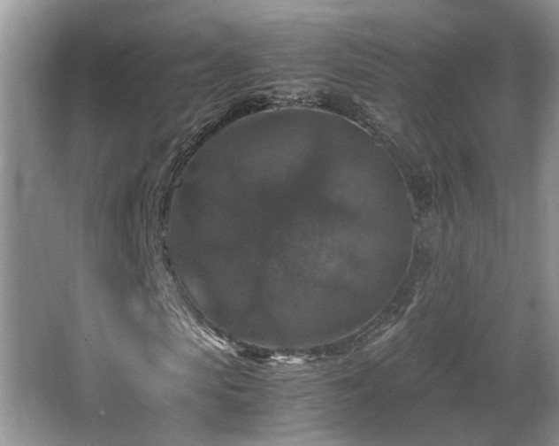 X0000065980913200603031150