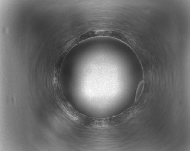 X0000065980914200603031150