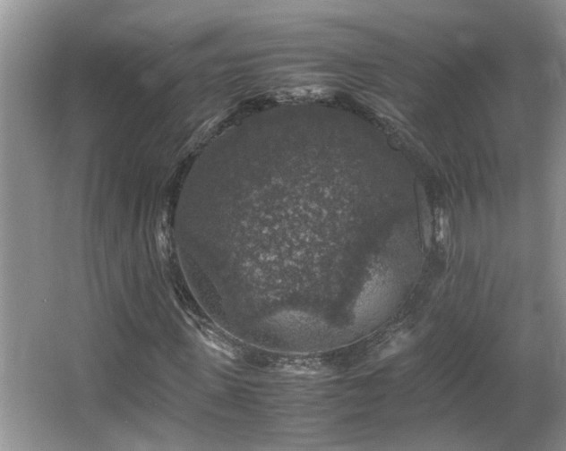 X0000065980915200603031150