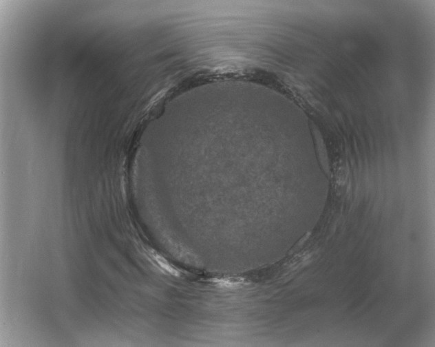 X0000065980916200603031150