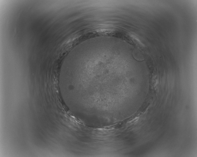 X0000065980917200603031150