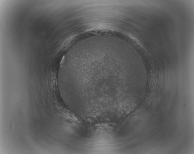 X0000065980918200603031150