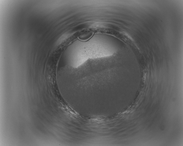 X0000065980919200603031150