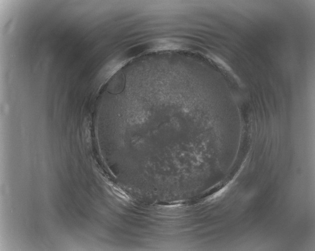 X0000065980921200603031151