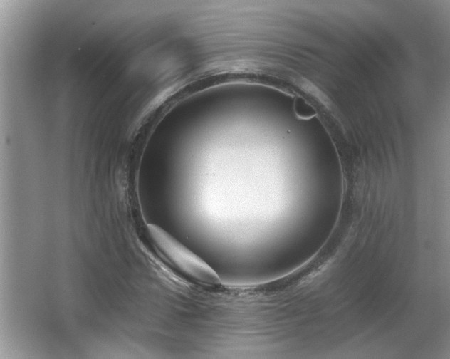 X0000065980922200603031151