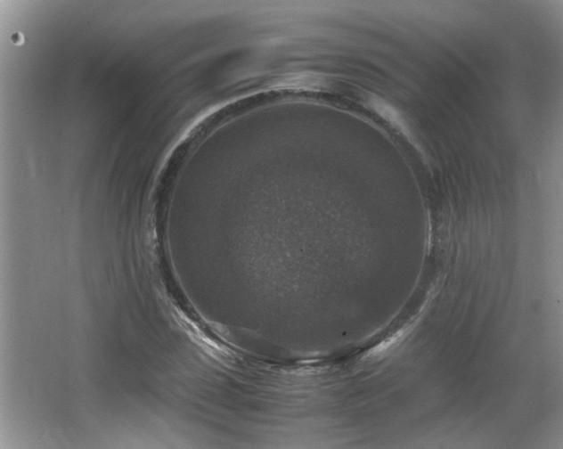 X0000065980923200603031151