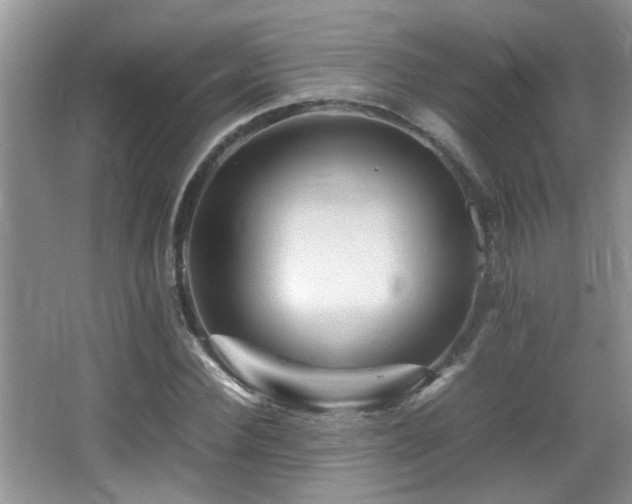 X0000065980924200603031151