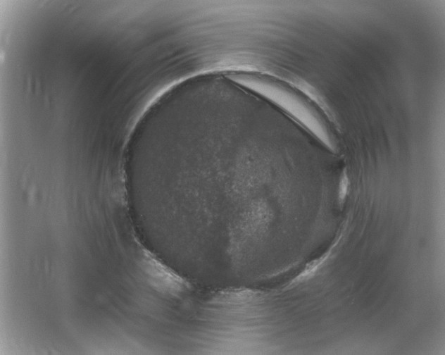 X0000065980926200603031151