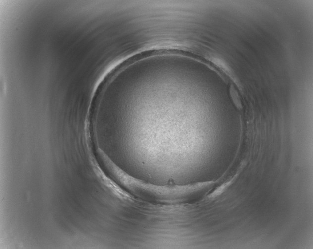 X0000065980928200603031151