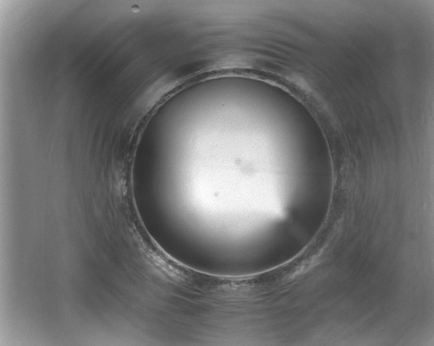 X0000065980929200603031151