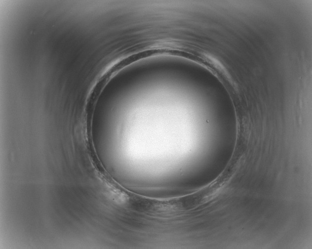 X0000065980931200603031151