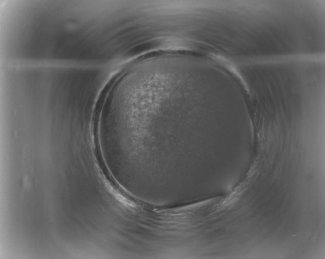 X0000065980935200603031151