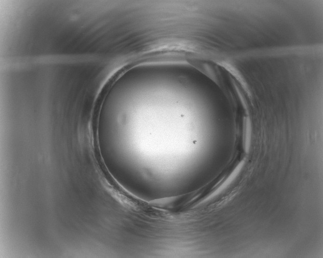 X0000065980936200603031151