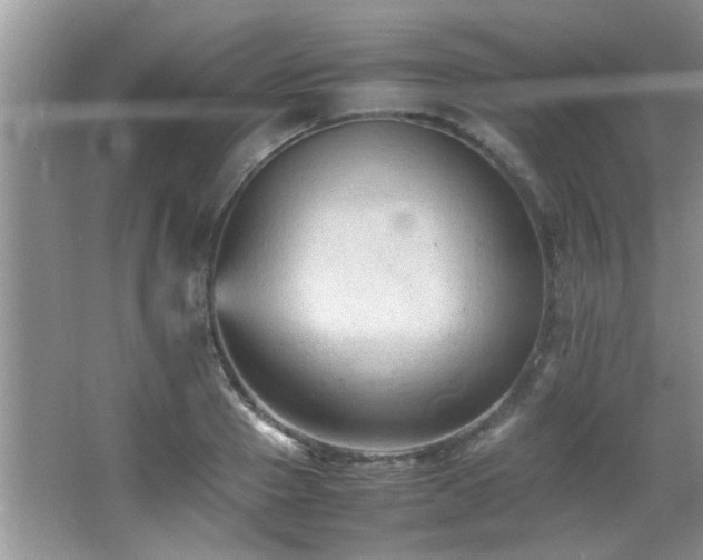 X0000065980937200603031151