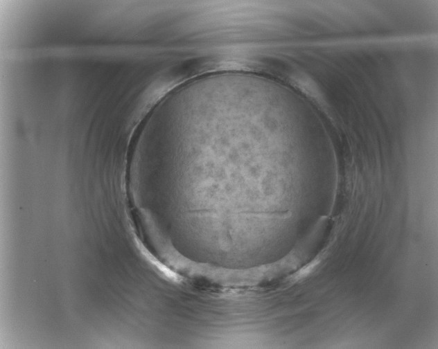 X0000065980938200603031151