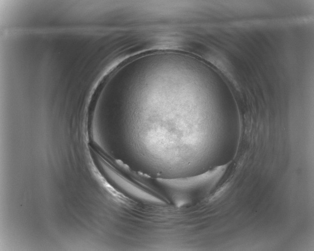 X0000065980939200603031151