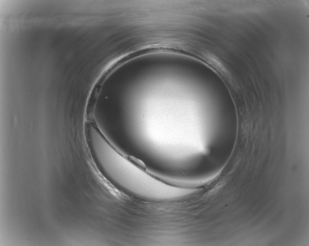 X0000065980940200603031151