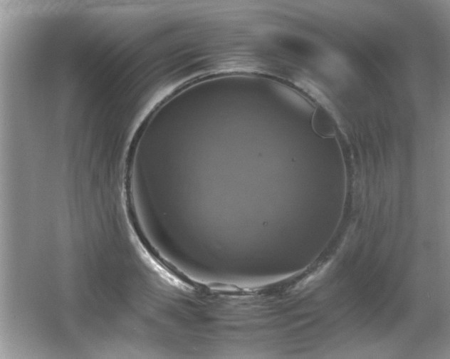 X0000065980941200603031151