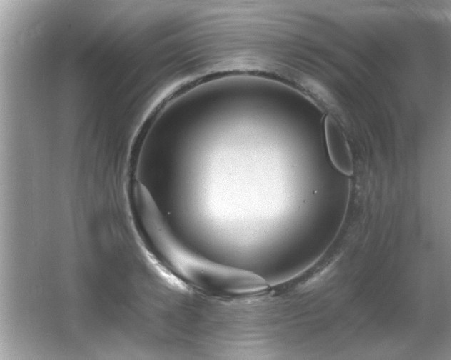 X0000065980942200603031151