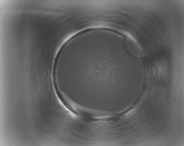 X0000065980943200603031151